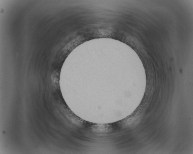 X0000086300672200704091023