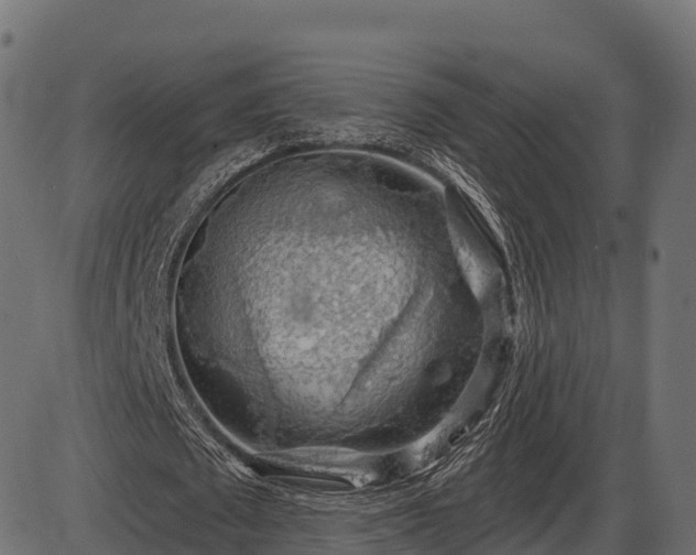 X0000086300673200704091022