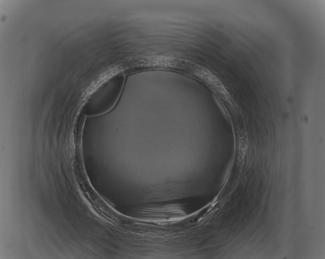 X0000086300674200704091022