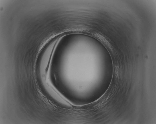 X0000086300676200704091022