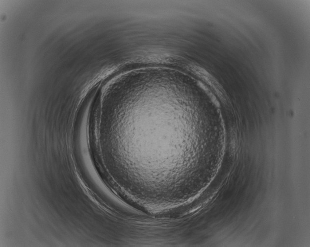 X0000086300677200704091022