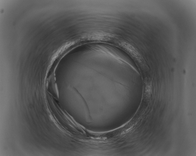 X0000086300678200704091022