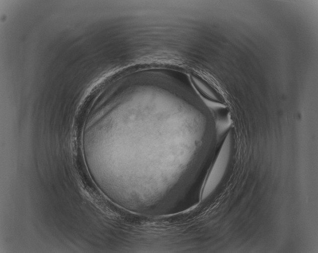 X0000086300680200704091022