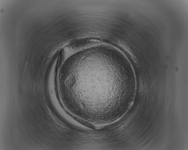 X0000086300681200704091022