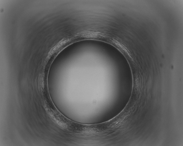 X0000086300682200704091022