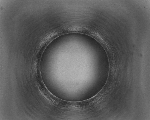 X0000086300683200704091022