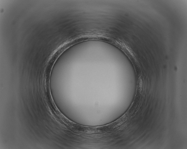 X0000086300684200704091022