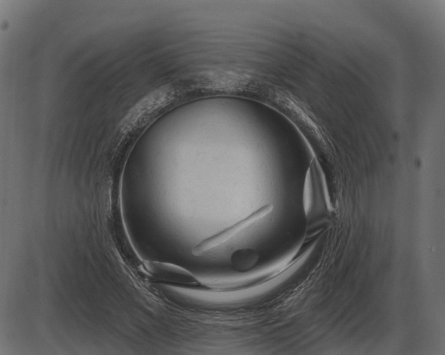 X0000086300685200704091022