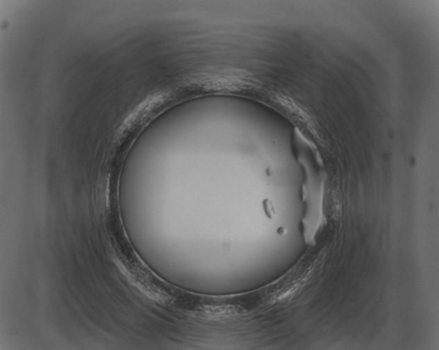 X0000086300686200704091022