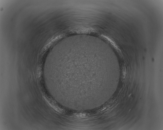 X0000086300687200704091022