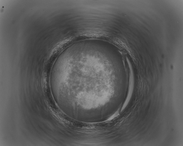 X0000086300688200704091022