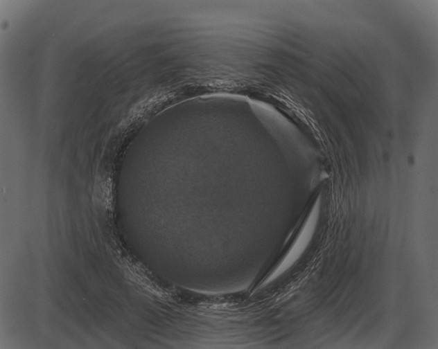 X0000086300689200704091022