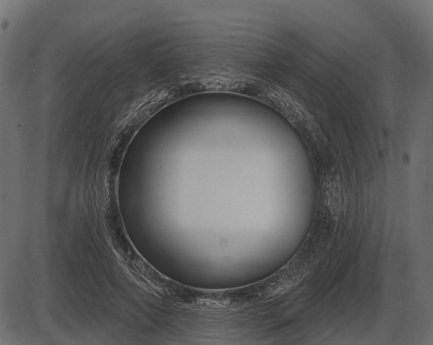 X0000086300690200704091022