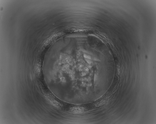 X0000086300691200704091022