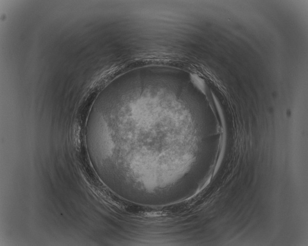 X0000086300692200704091022