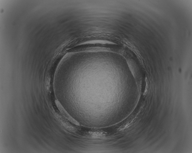 X0000086300693200704091021