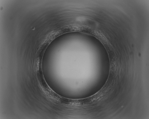 X0000086300694200704091021