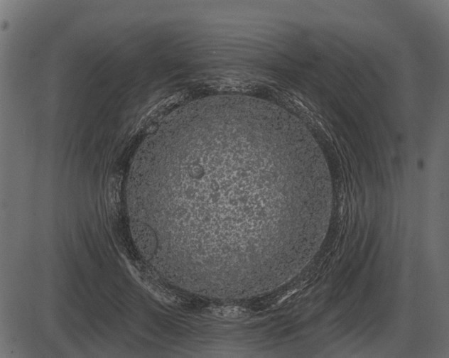 X0000086300695200704091021