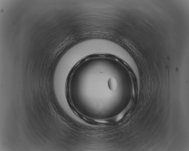 X0000086300696200704091021