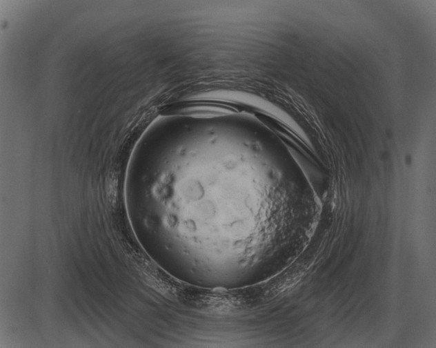 X0000086300697200704091021