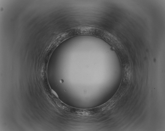 X0000086300698200704091021