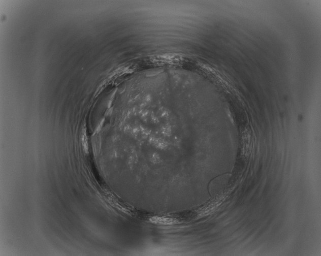 X0000086300699200704091021