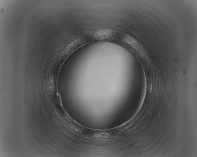 X0000086300700200704091021