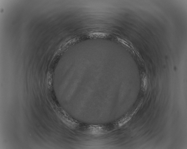 X0000086300701200704091021