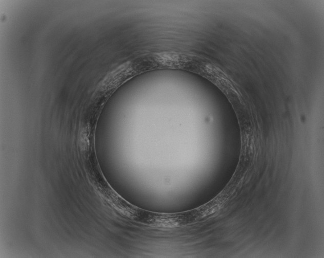 X0000086300702200704091021