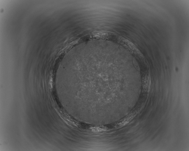 X0000086300703200704091021