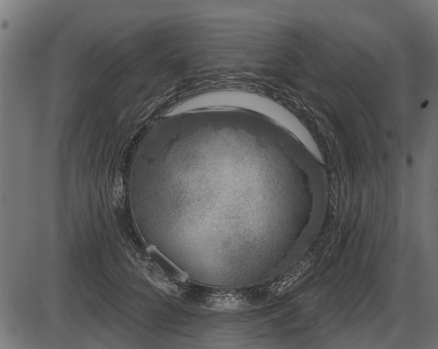 X0000086300704200704091021