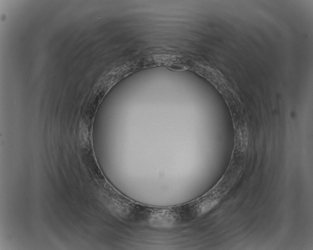 X0000086300705200704091021