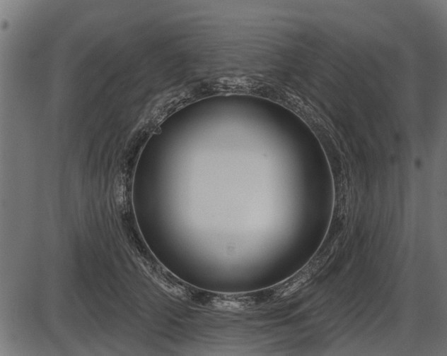 X0000086300706200704091021