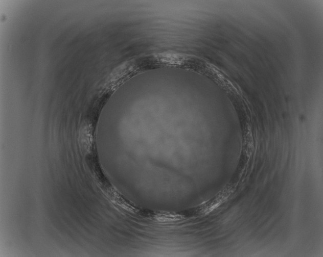 X0000086300707200704091021