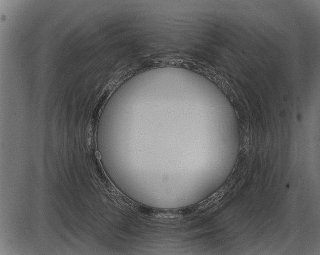 X0000086300708200704091021