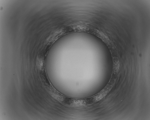 X0000086300709200704091021