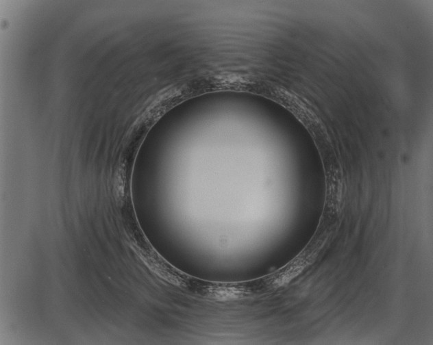 X0000086300710200704091021