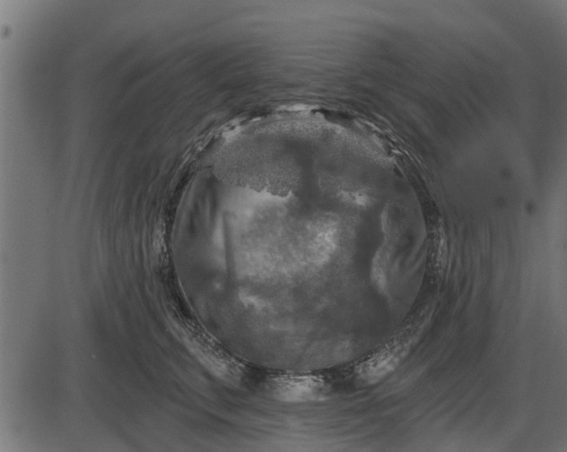 X0000086300711200704091021