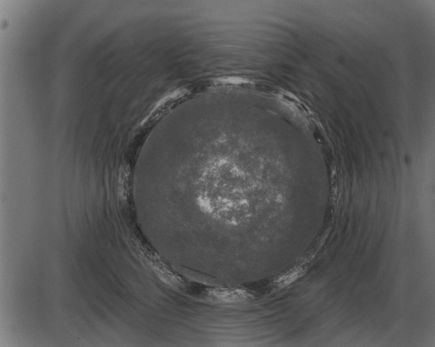 X0000086300712200704091021