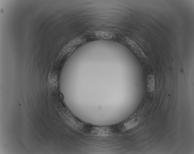 X0000086300713200704091021