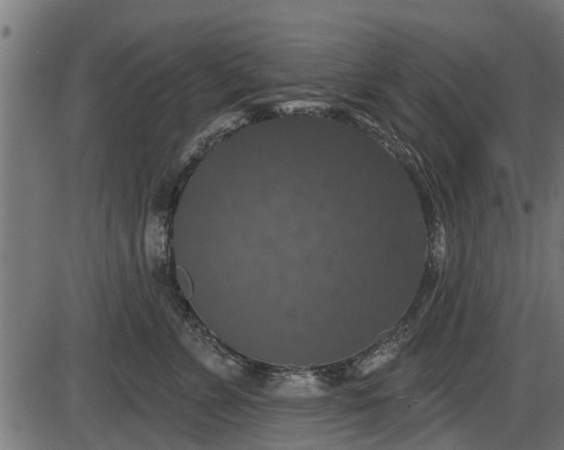 X0000086300715200704091021