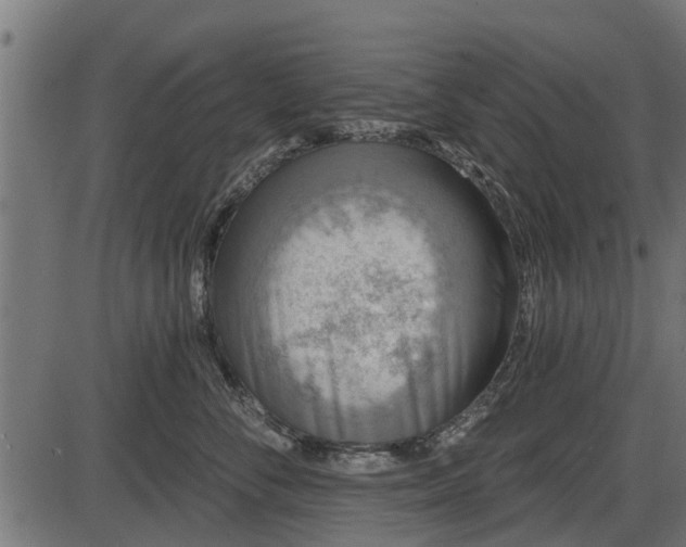 X0000086300716200704091021