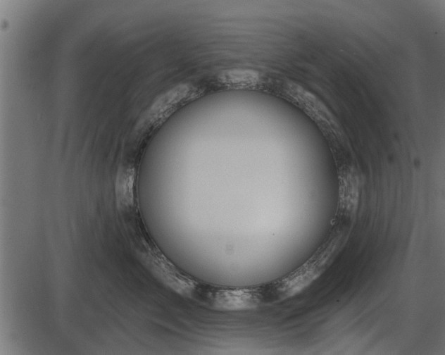 X0000086300717200704091021