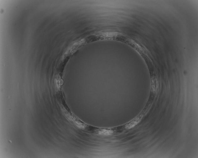 X0000086300718200704091021