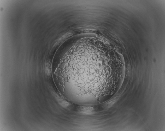 X0000086300719200704091021