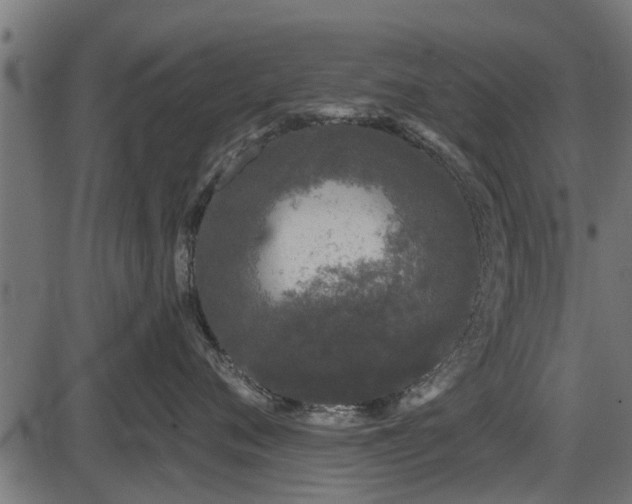 X0000086300720200704091021