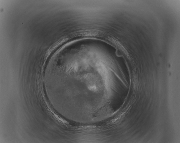 X0000086300721200704091020