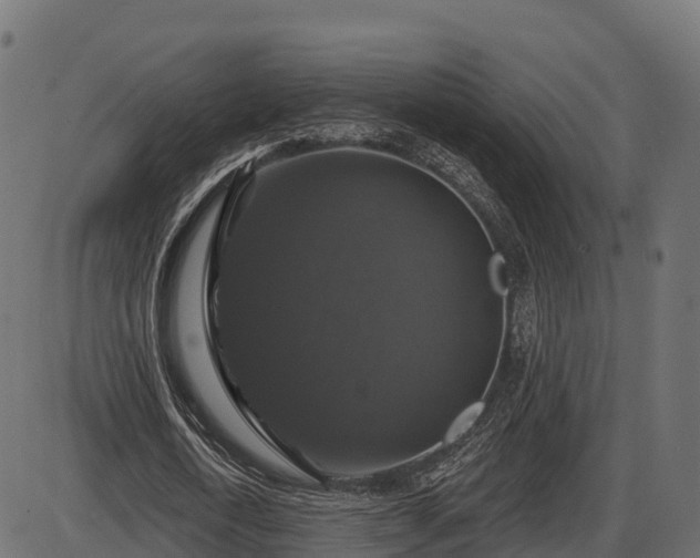 X0000086300722200704091020