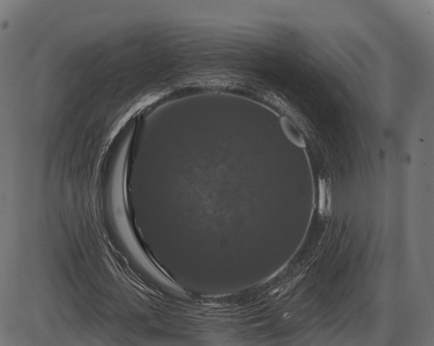 X0000086300723200704091020