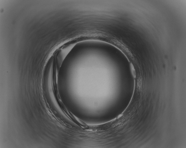 X0000086300724200704091020